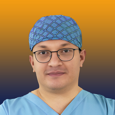 Hamed Nikoupour Deylami